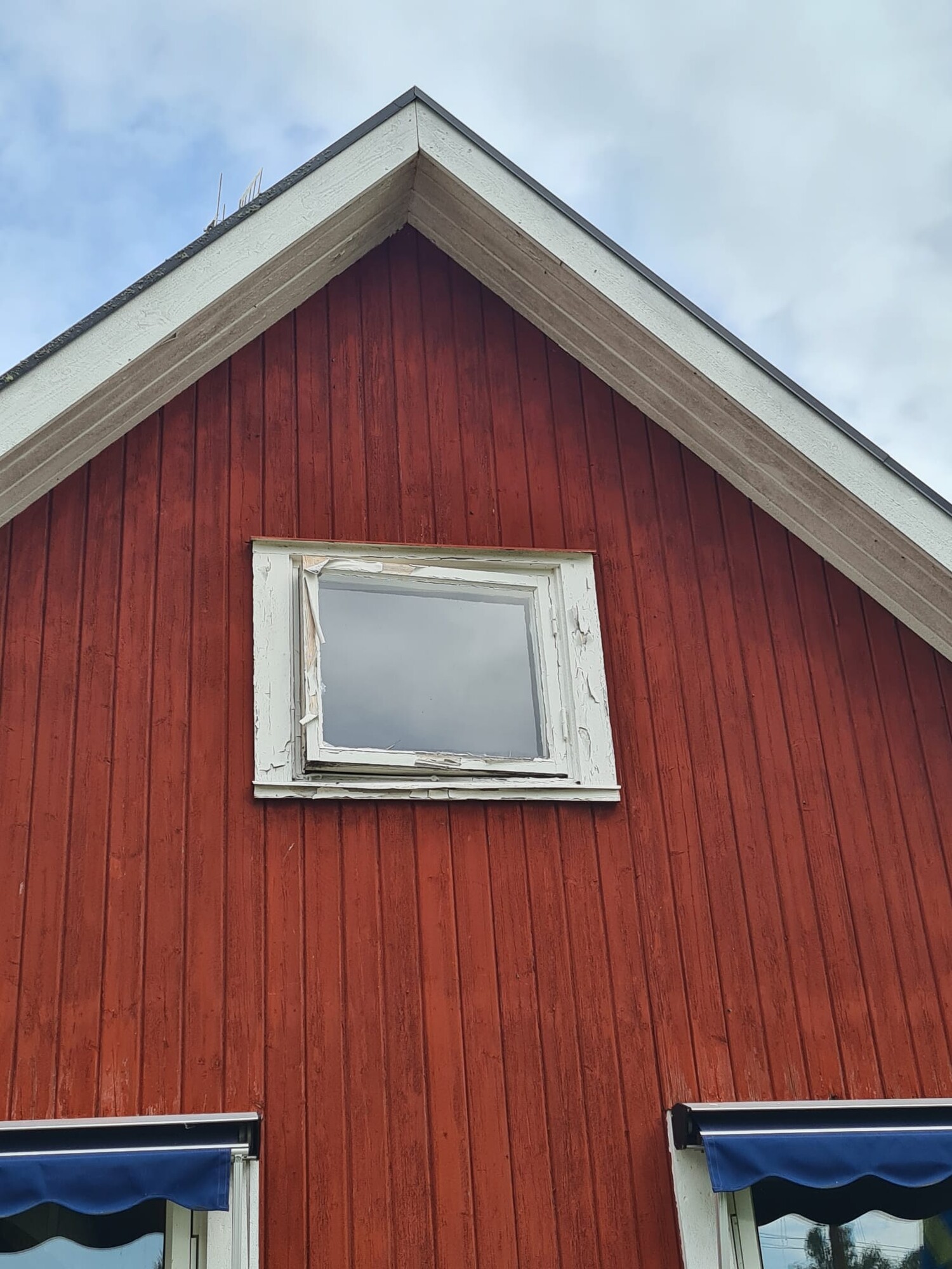 Austausch von Fenstern — Bild 1